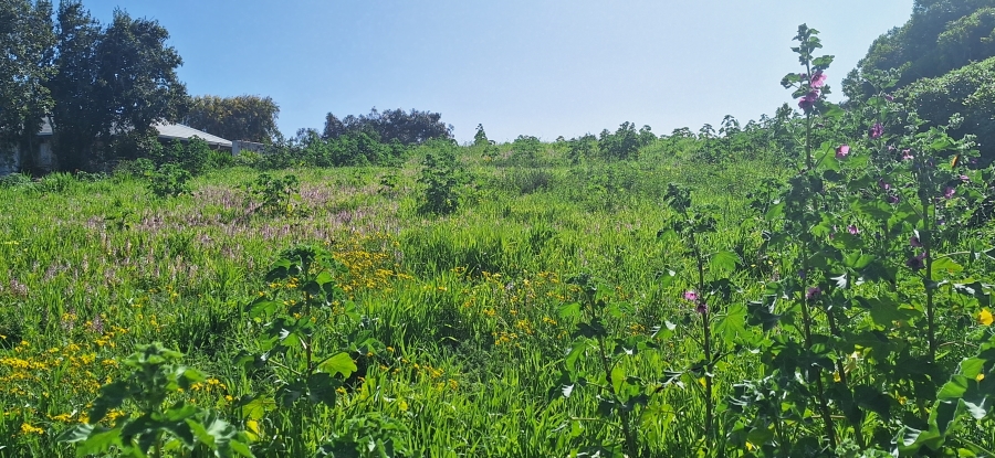 0 Bedroom Property for Sale in Parkersdorp Western Cape